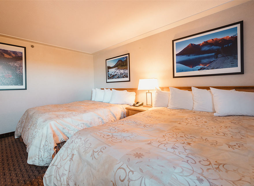 Suite - 2 Queen Beds 6