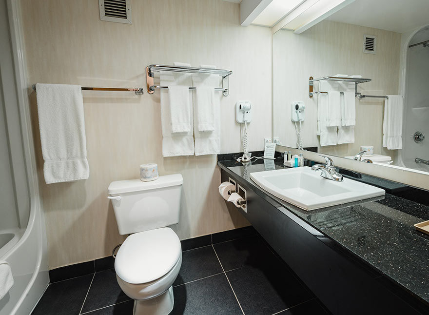 Suite - 2 Queen Beds 8