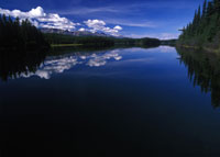 Photograph by Wayne Sawchuk