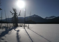 Photograph by Wayne Sawchuk