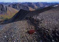 Photograph by Wayne Sawchuk