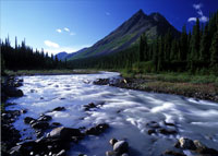 Photograph by Wayne Sawchuk